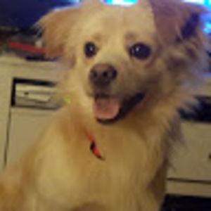 Meet your Posher, Marti